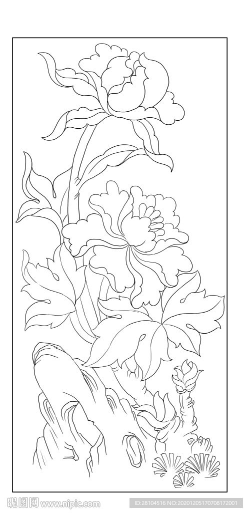 花卉