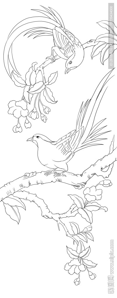 花鸟