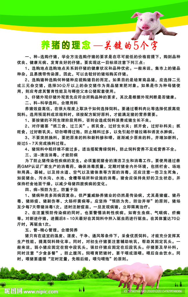养猪理念关键的五个字