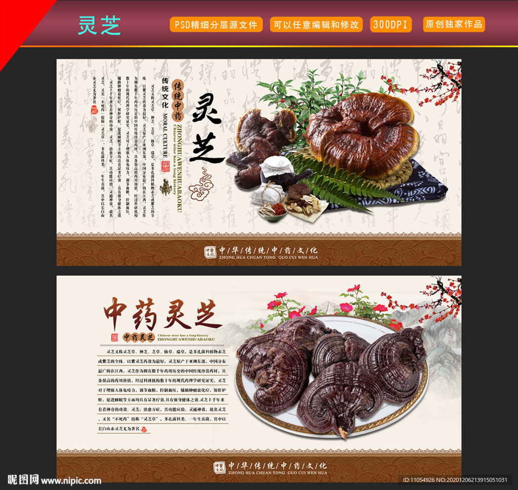 灵芝