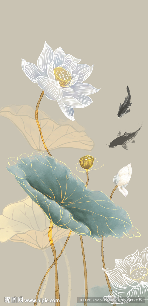 荷花