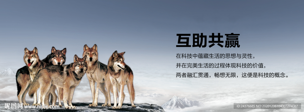 狼性文化
