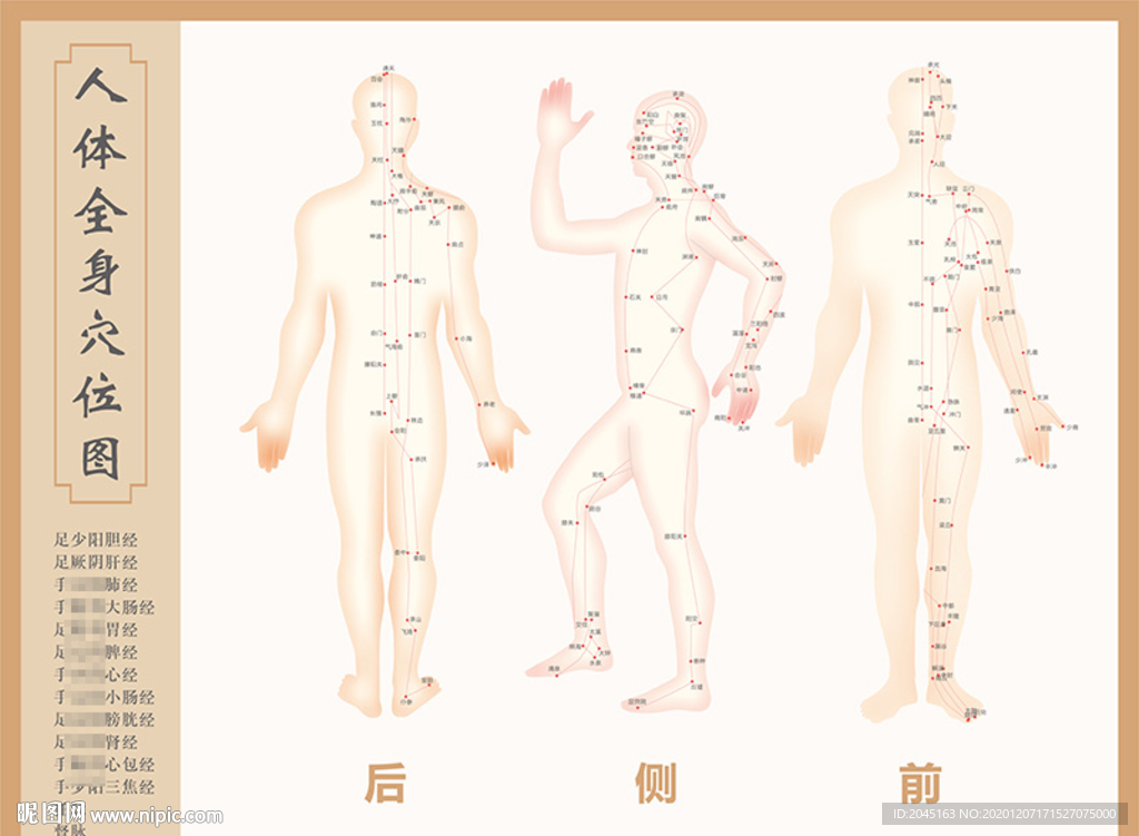 经络图