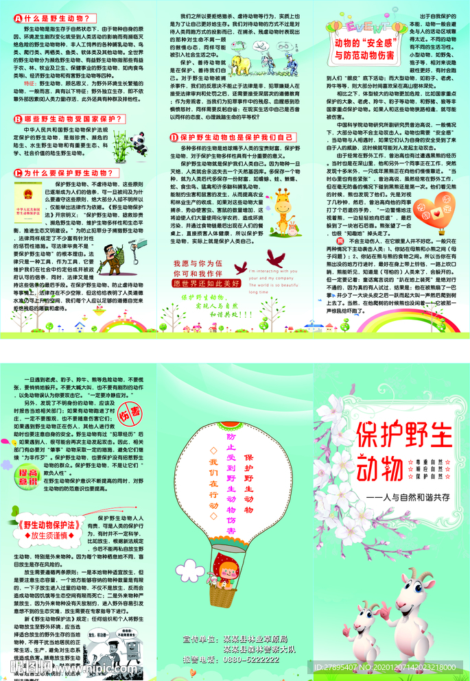 保护野生动物三折页