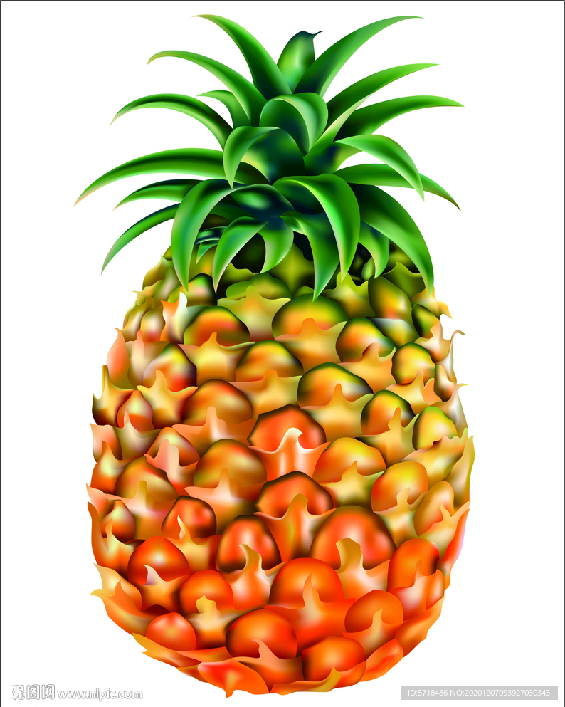 菠萝