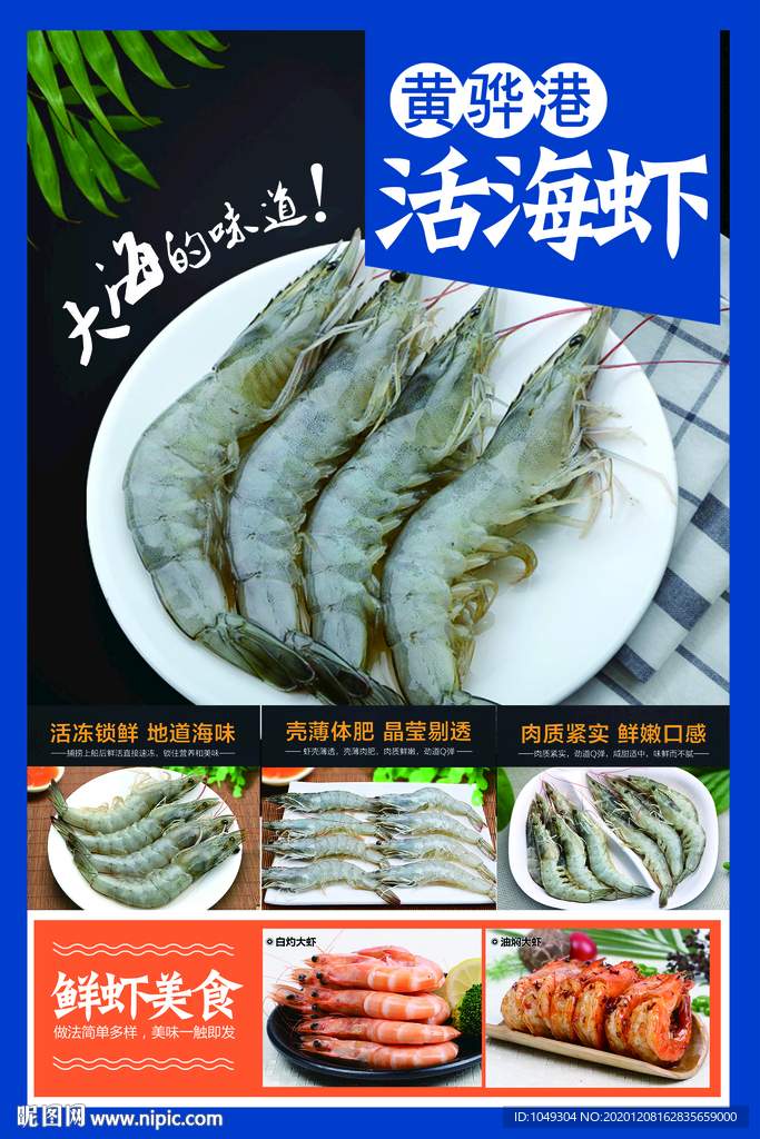黄骅港活海虾