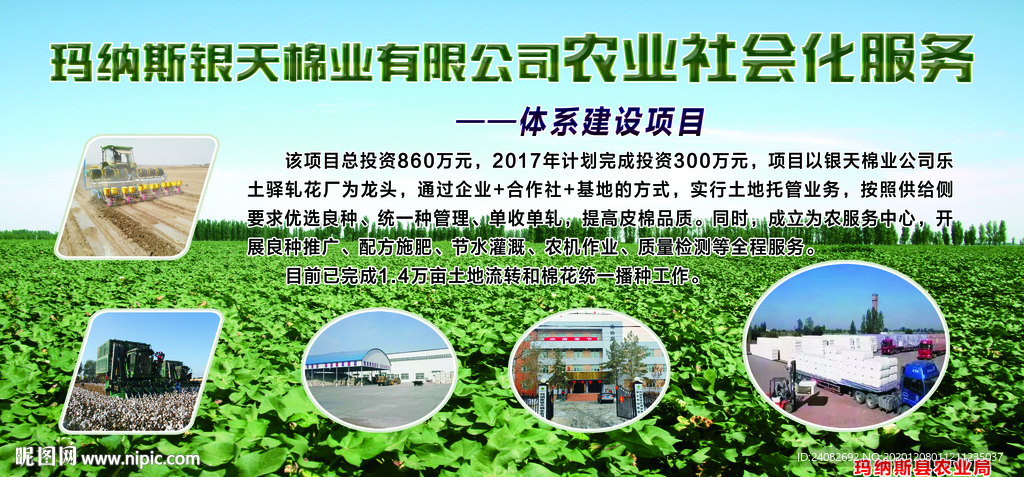 体系建设项目