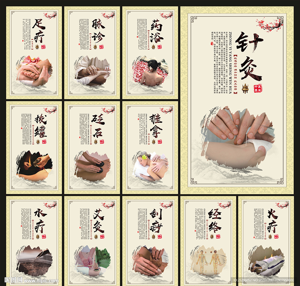 中医养生展板