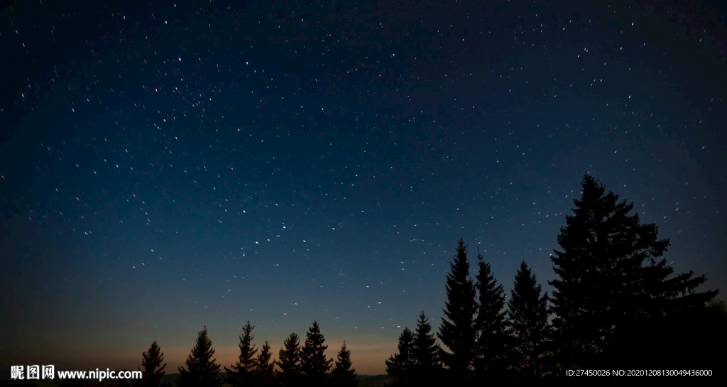 在森林里的星空