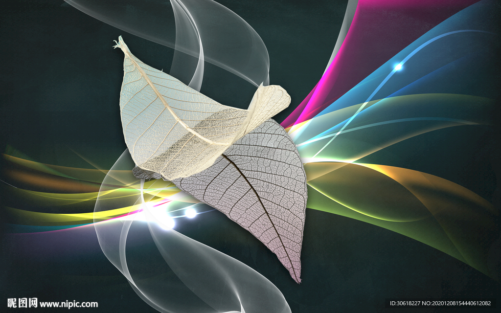 北欧羽毛背景墙