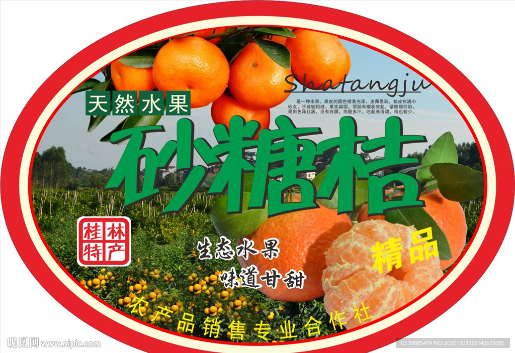 砂糖桔果标