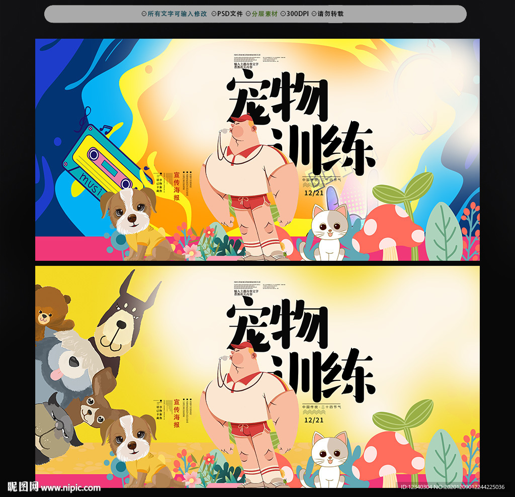 宠物训练