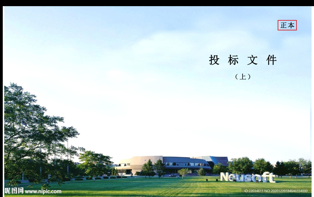 东软 标书 封面 画册