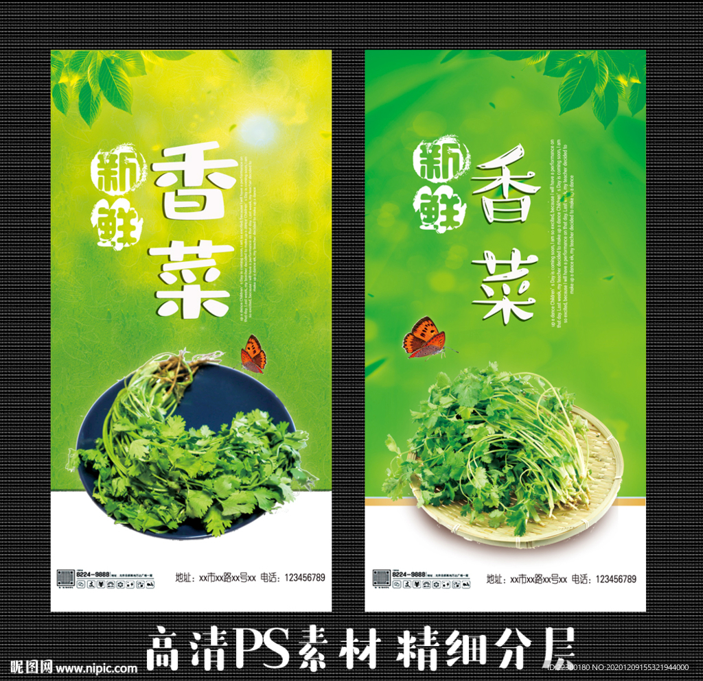 香菜