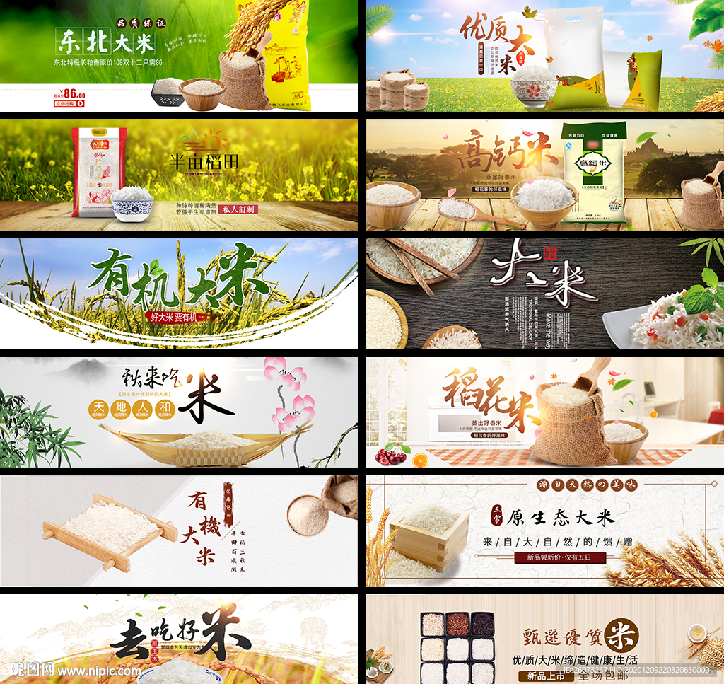 水稻banner