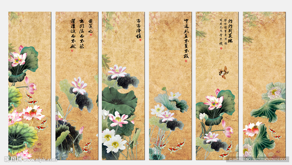 国画荷花