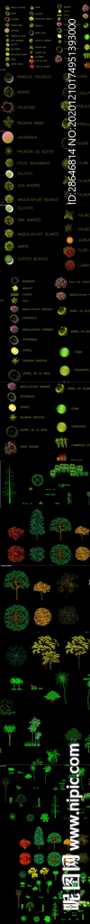 植物树木CAD图库