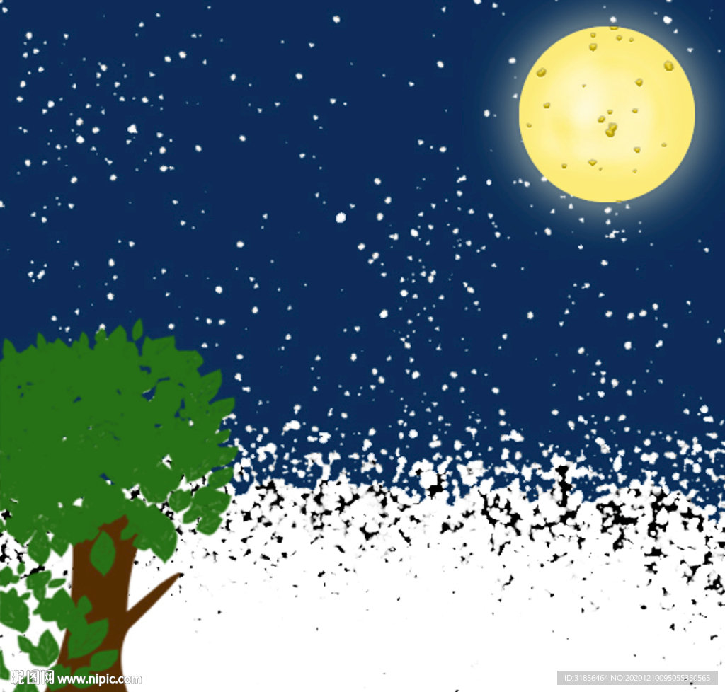 夜晚的雪