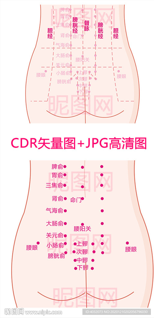 女性后背筋络穴位图