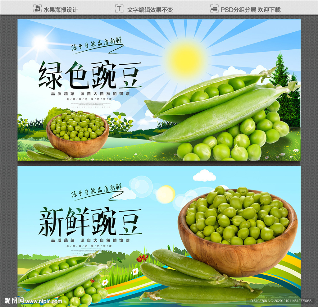 豌豆