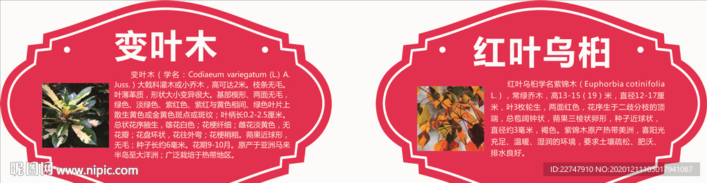 树木名称牌