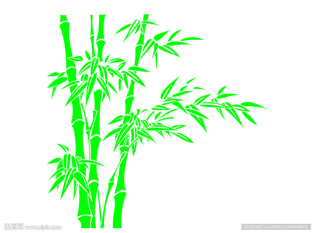 矢量竹子 竹叶