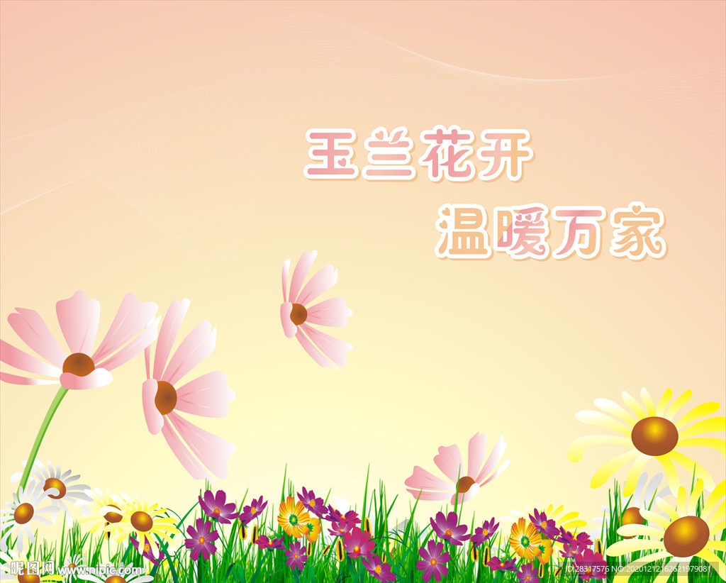 白玉兰背景