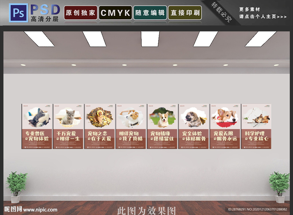 宠物文化