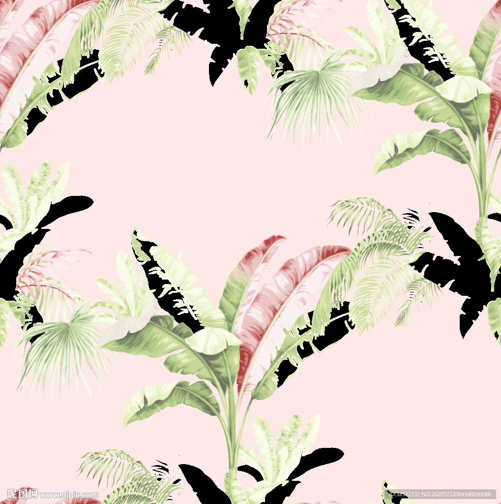 香蕉树