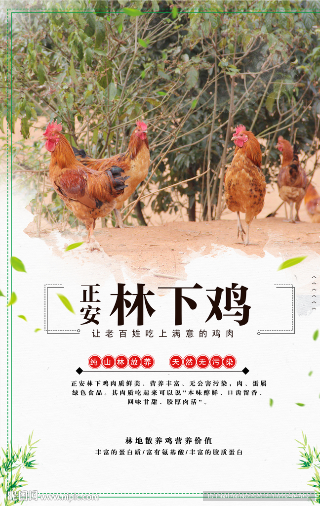 林下鸡海报