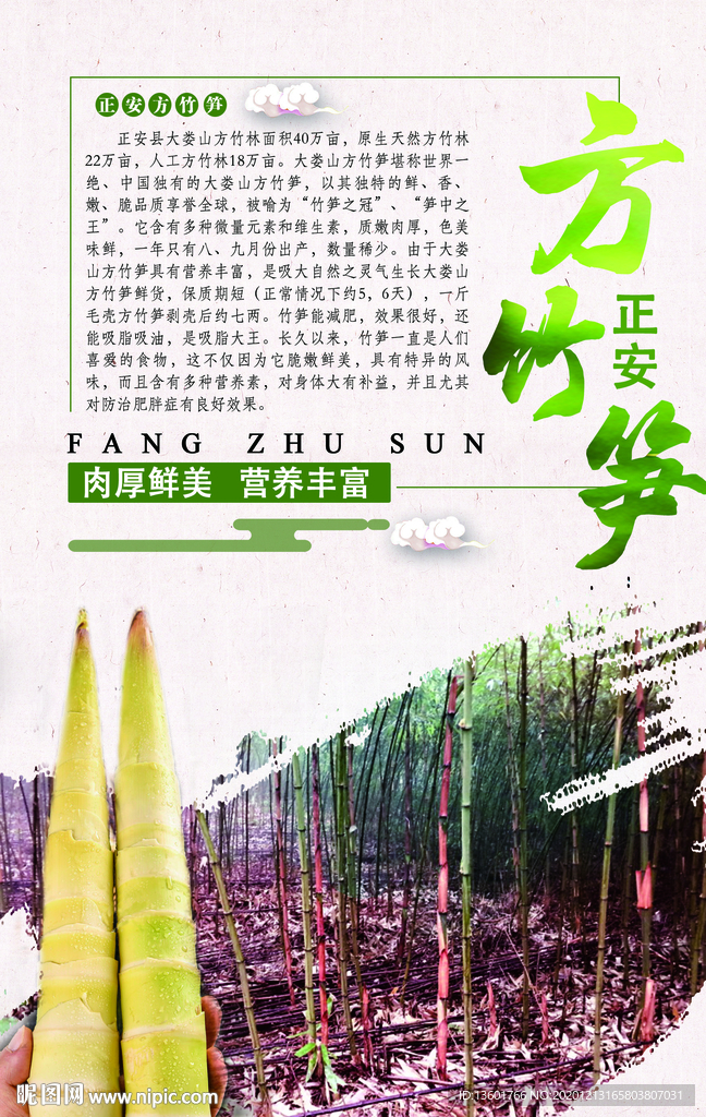 方竹笋海报