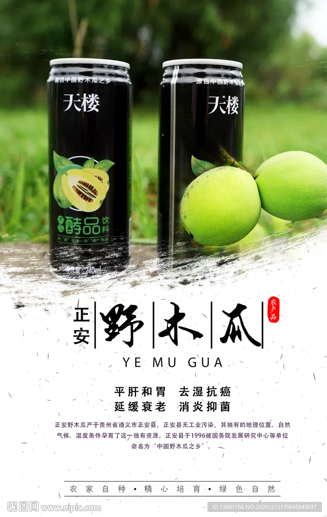 野木瓜海报