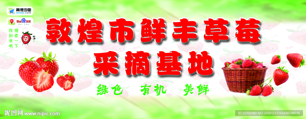 草莓采摘