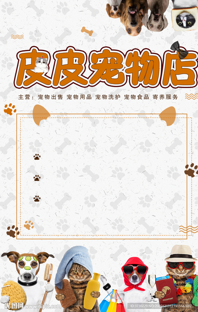 宠物店 狗狗 猫 卡通 黄色风