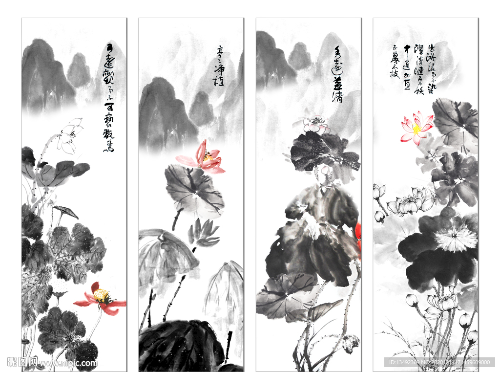 荷花国画