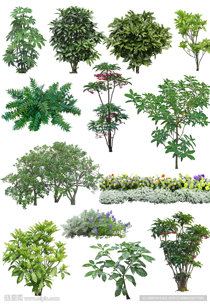 园林绿化带景观