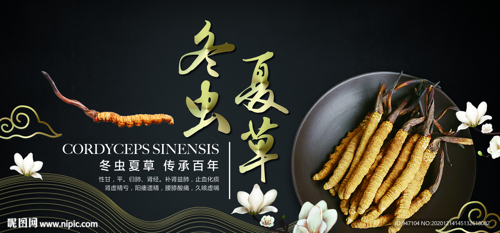 冬虫夏草滋补展板海报