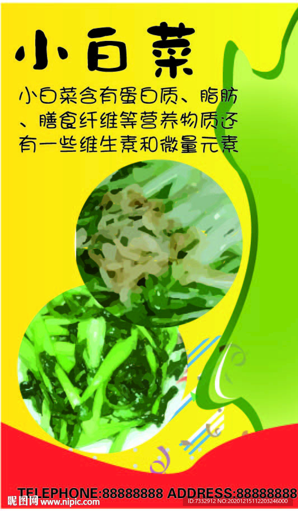 小白菜