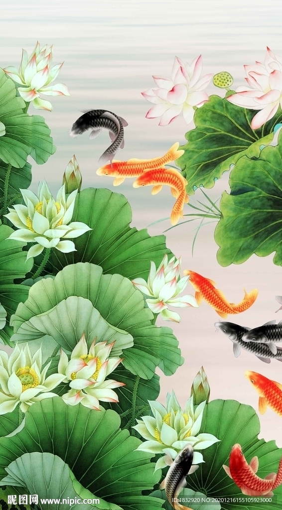 荷花九鱼图