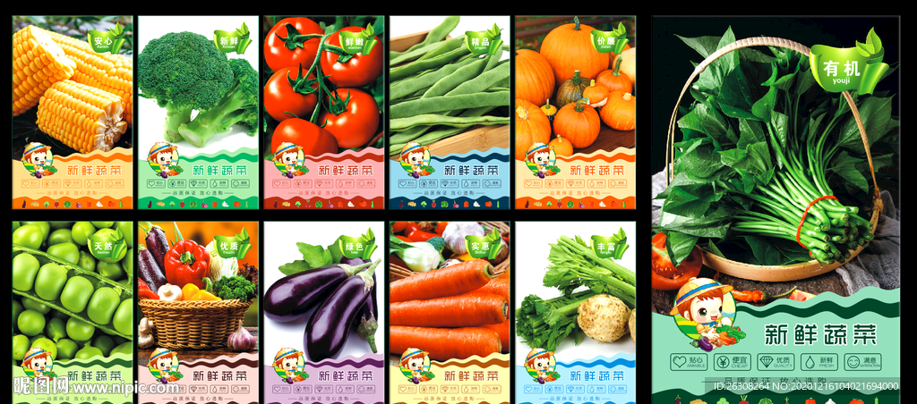 蔬菜 蔬菜海报 精品蔬菜