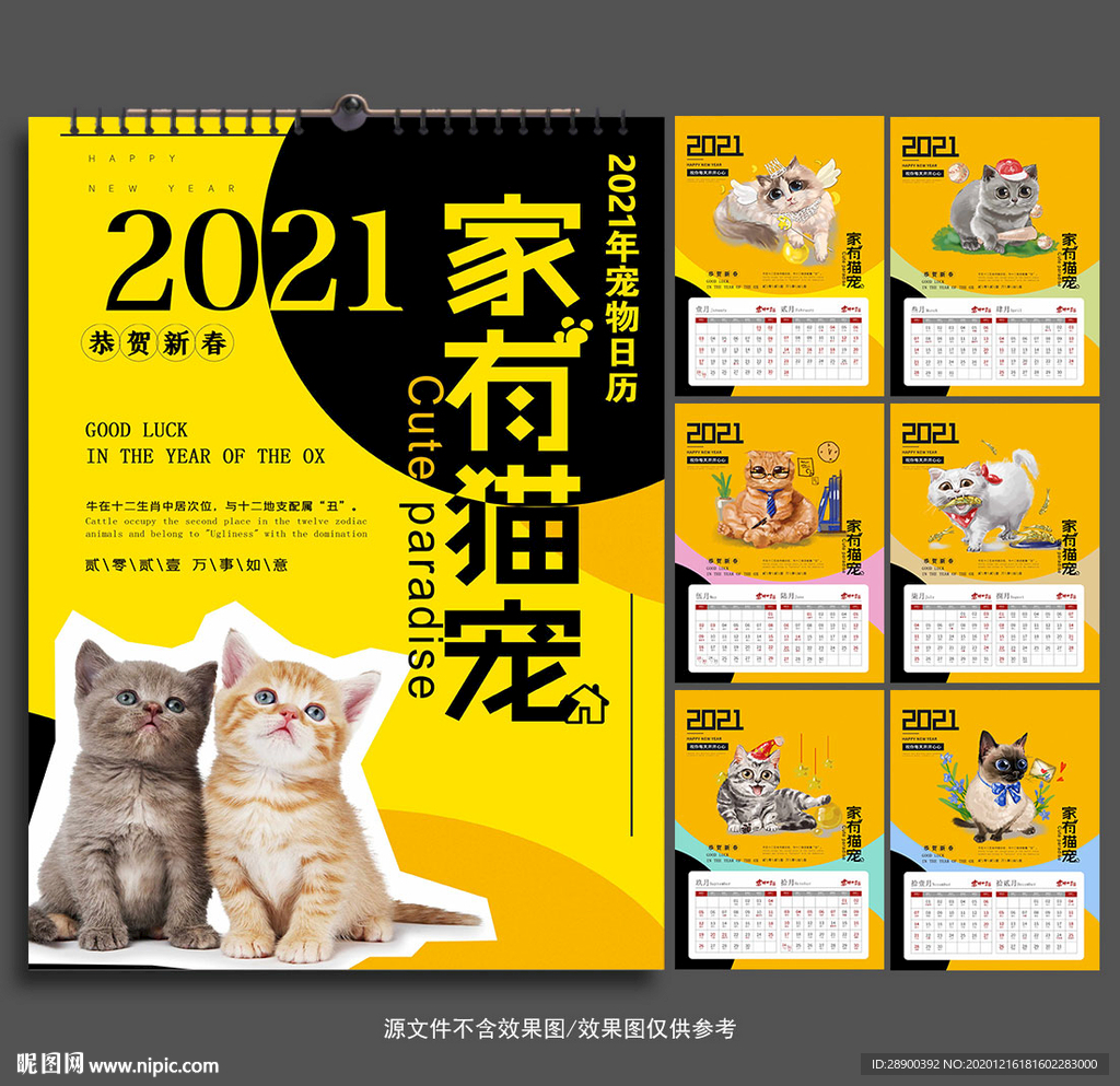 2021宠物挂历