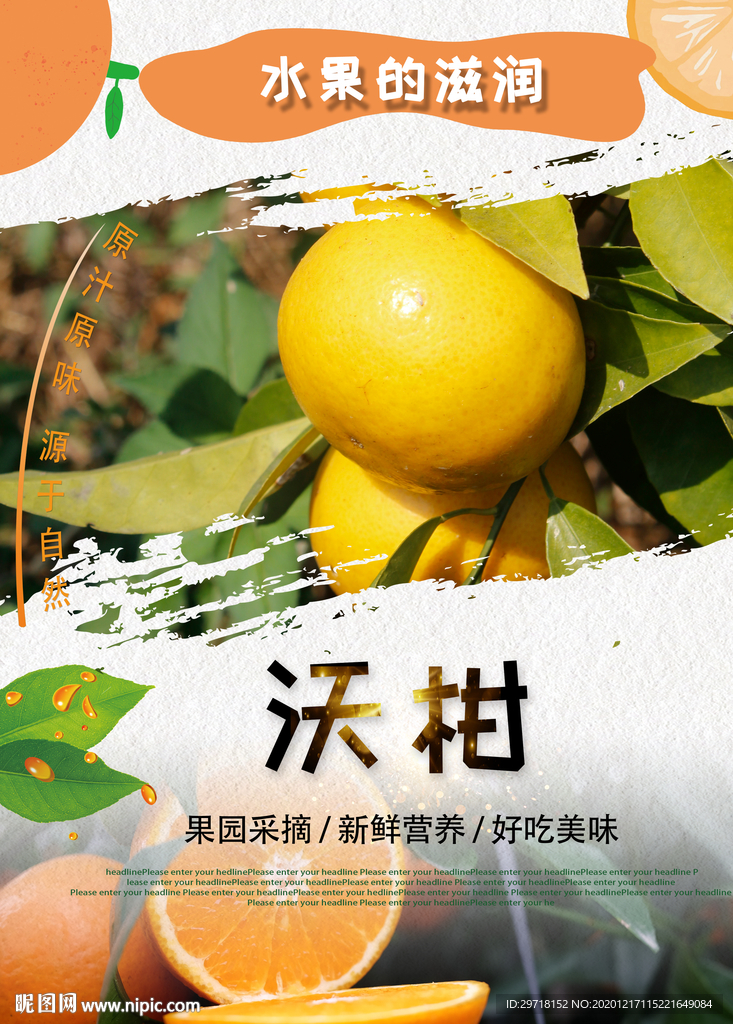 沃柑