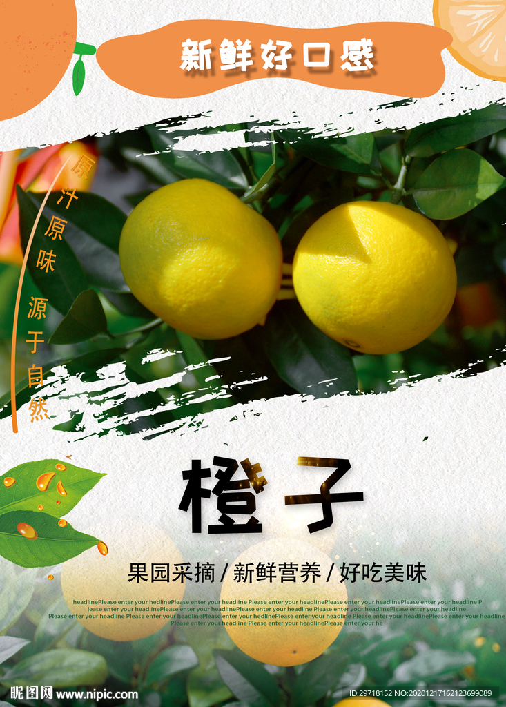 橙子