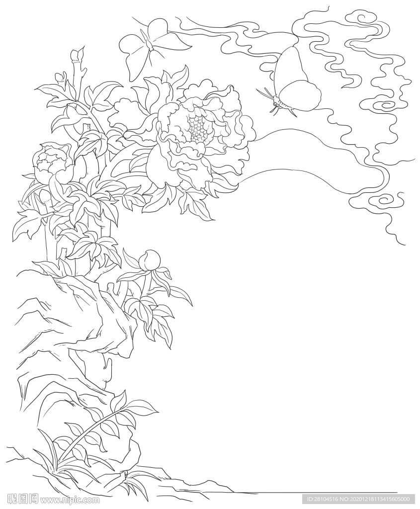 牡丹花