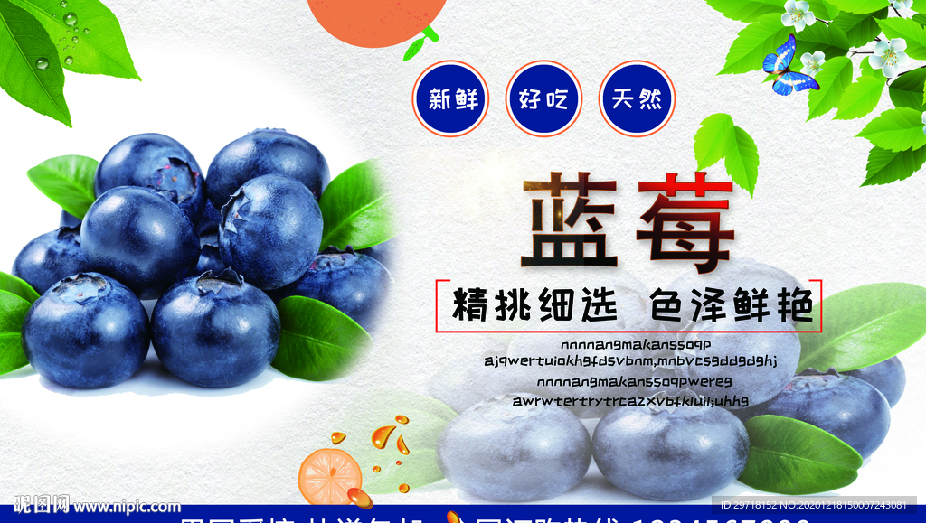 蓝莓