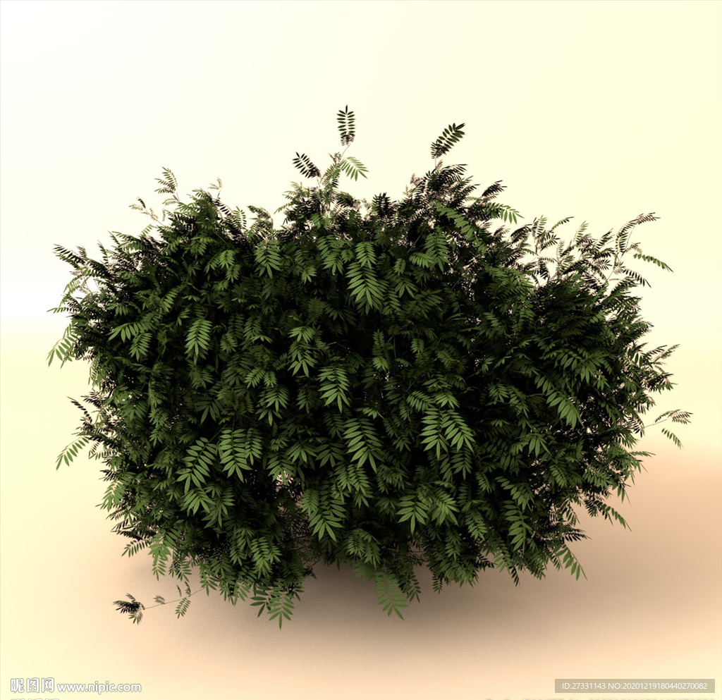 树木模型 植物模型 花草模型