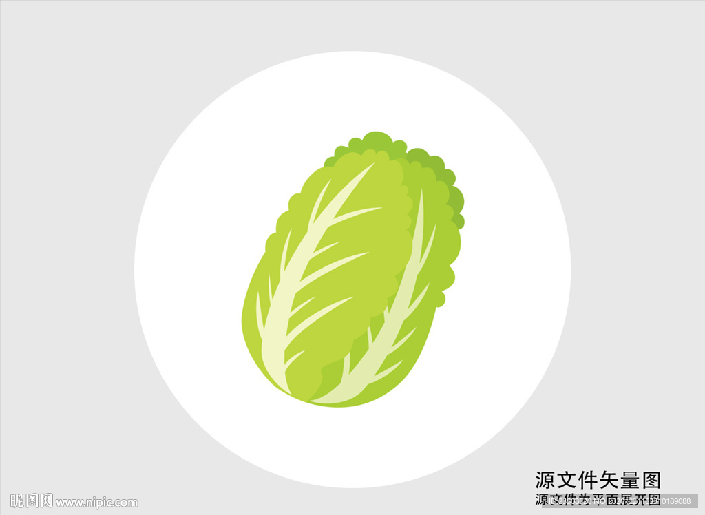 卡通白菜插画图标