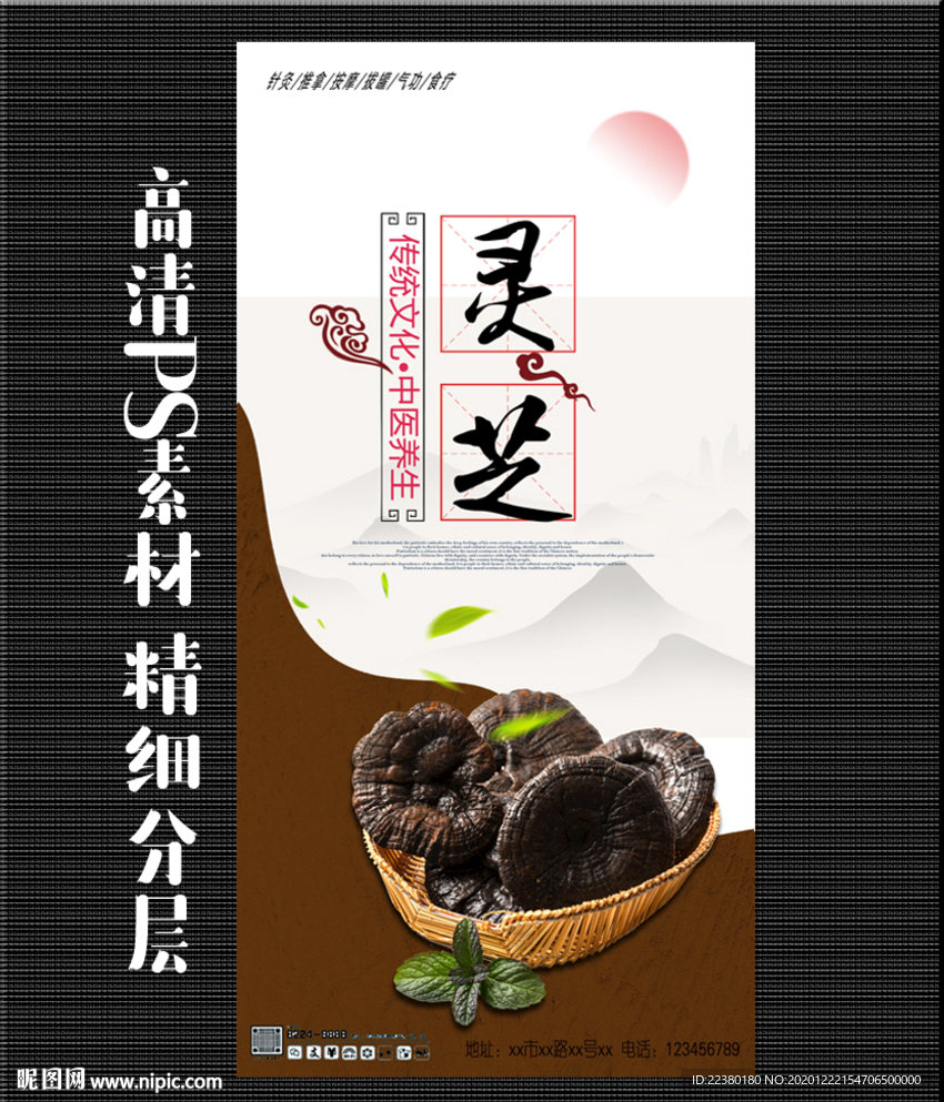 灵芝