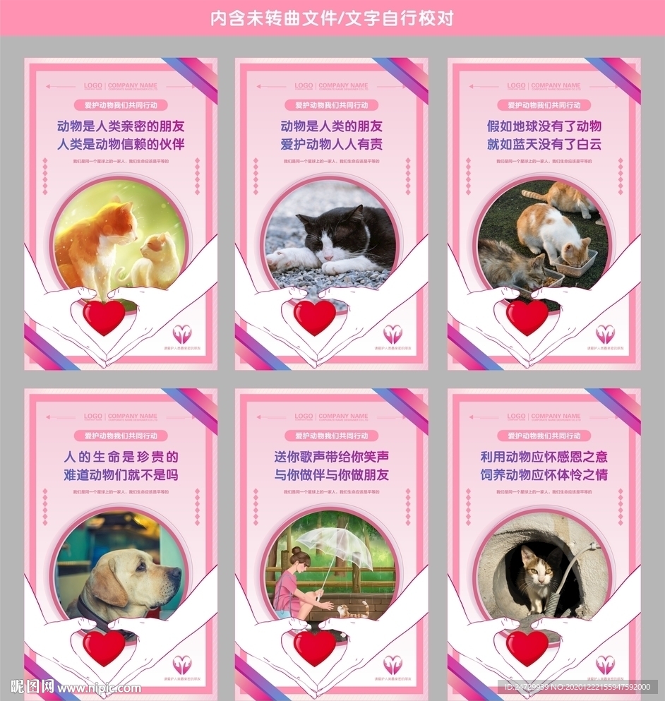 关爱流浪动物