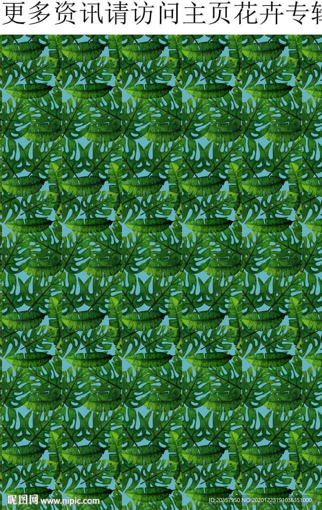 绿色植物 植物装饰 绿叶 热带